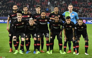 YGM(X)O欧版高压(超细)磨粉机